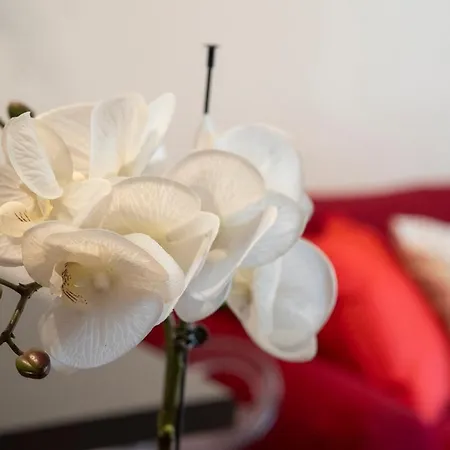 شقة Enjoy - La Quercia بادوفا