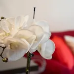 Apartamento Enjoy - La Quercia Pádua