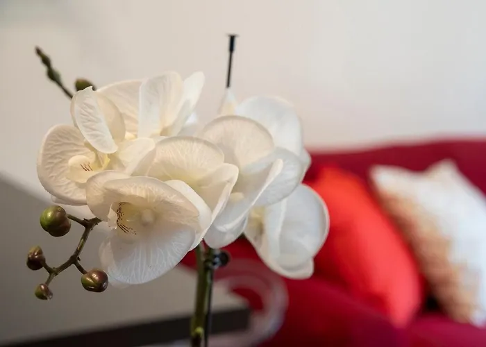 Apartmán Enjoy - La Quercia Padova